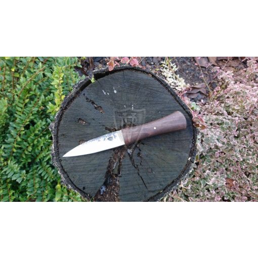 Straight bladed medieval knfie
