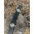 Hardwood Scabbard for sabres, Leather covered 